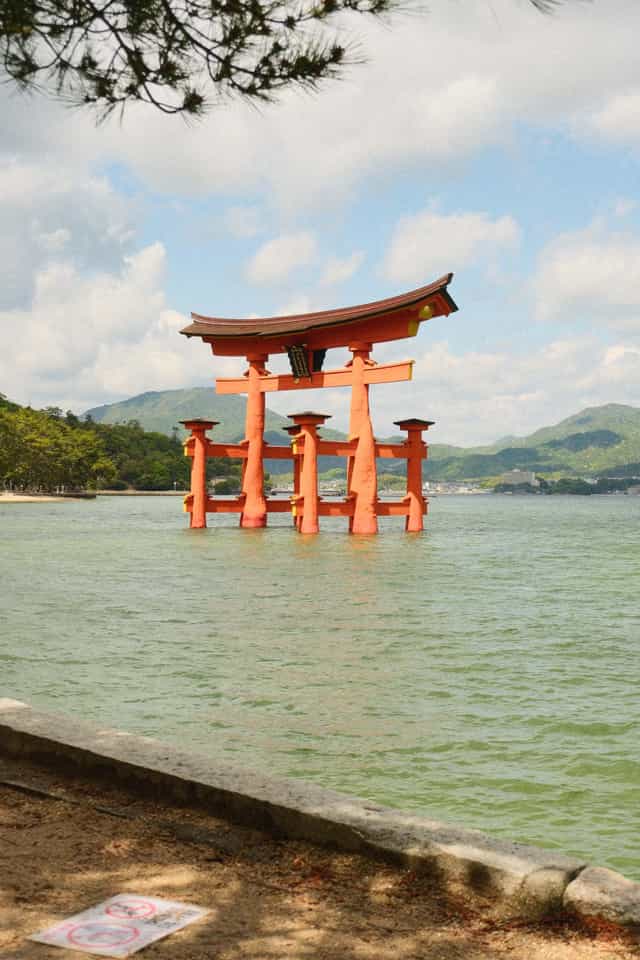 A photo