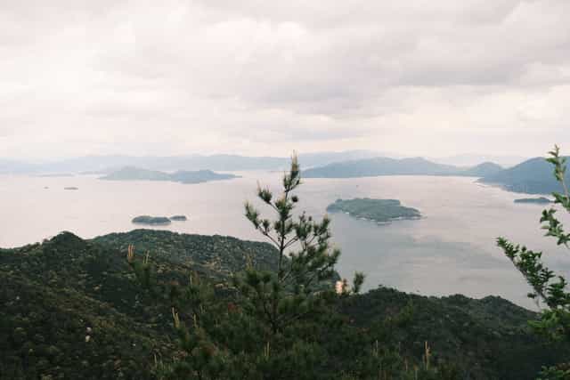 A photo