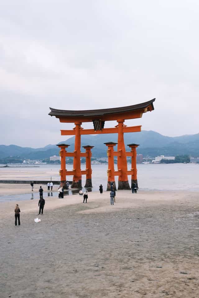 A photo