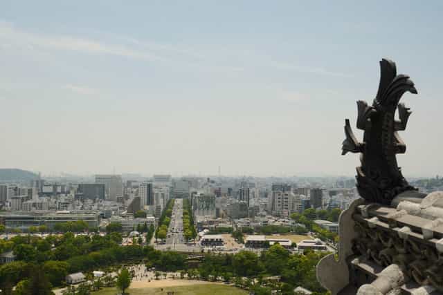 A photo
